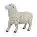 Safari Ltd. Safari Farm - Sheep - Quality Construction from Phthalate, Lead and BPA Free Materials - For Ages 3 and Up