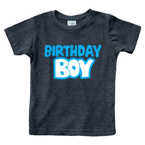 Birthday boy Shirt Boys Outfit Toddler Baby tee 1st 2nd 3 Year Old 4th Kids 5th 6th 7th 8th