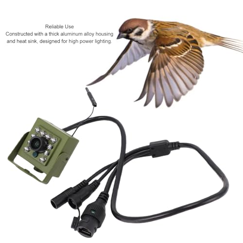 Caméra de Surveillance de la Faune, Caméra de sécurité Intérieure et Extérieure, Caméra de Vision Nocturne pour Nichoir, Caméra Grand Angle WiFi 2,4 GHz avec 10 LED, pour