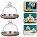 DYBITTS Talerz deserowy z pokrywką kopułkową, mini stojak na ciasto talerz do serwowania, wielofunkcyjny talerz do serwowania, taca na ciasto, makaronik, płyta ekspozycyjna do hoteli, 2 szt