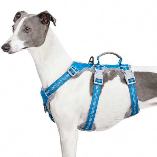 Image of Huntboo Escape Proof Dog Harness, Escape Artist Harness, Reflective Harness with Padded Handle, Breathable, Durable, Adjustable Vest for Medium Dogs Walking, Training, and Running Gear (Blue, L)