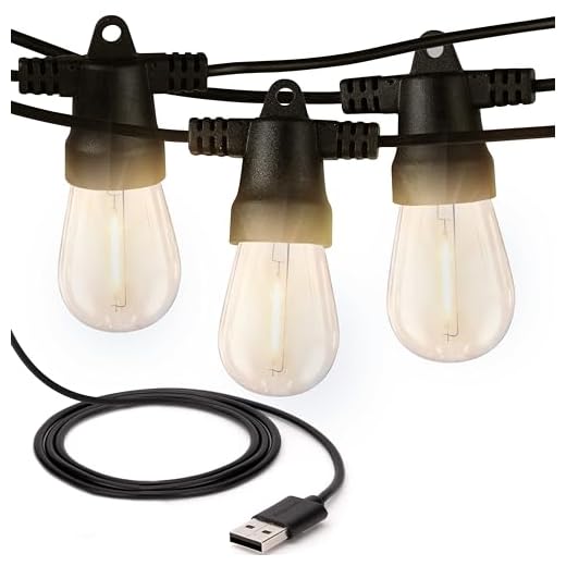 Brightech Ambience Pro - USB Battery Pack Powered, Waterproof String Lights for Camping & Tents - Add Warm Ambience to Your Camp Site - Lightweight & Bright Enough to Cook - Shatterproof Bulbs