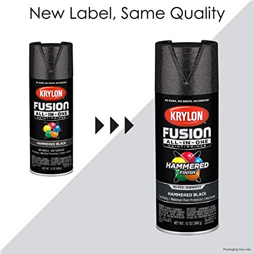 Image of Krylon K02788007 Fusion All-in-One Spray Paint, Silver