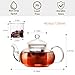 CnGlass 40.6oz/1200ml Glass Teapot with Removable Infuser,Stovetop Safe Tea Kettle,Blooming & Loose Leaf Tea Pot