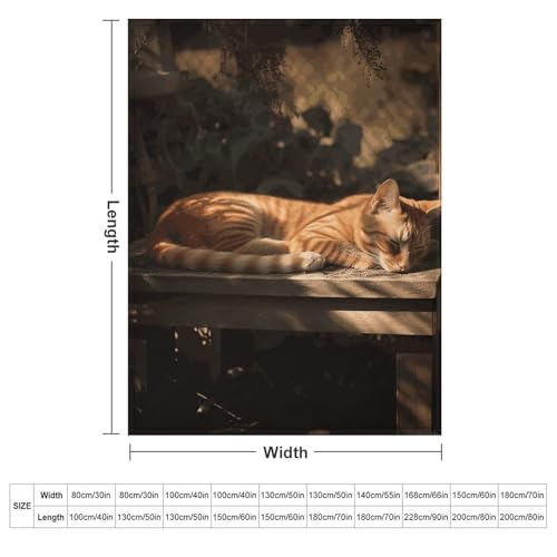 Couverture flanelle chat orange 152x203 cm pour canapé