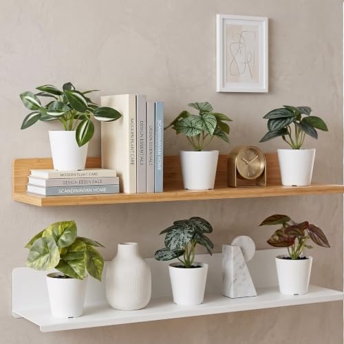 Image of Dekorly Pack of 6 Mini Artificial Potted Plants, Small Indoor Potted Houseplants, Small Faux Plants for Home Decor Bathroom Office Farmhouse (Mini Botanical Collection)