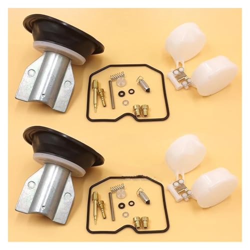 Kit réparation carburateur EX500 résout fuite essence et trou accélération