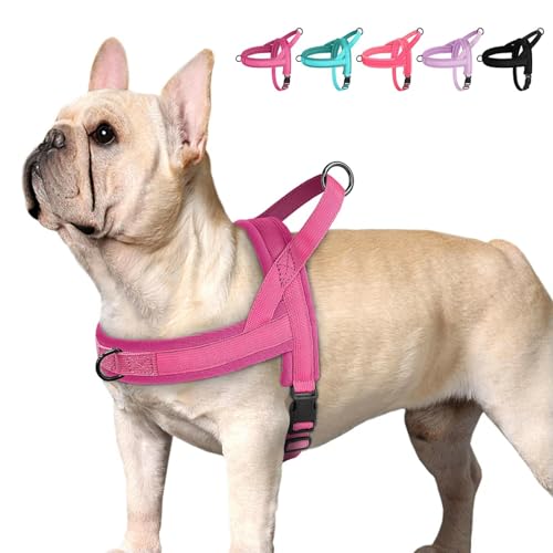 Arnés de perro ajustable y chaleco acolchado para mascotas pequeñas 2