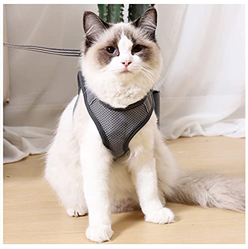 Athyior Pettorina Cane Taglia Piccola