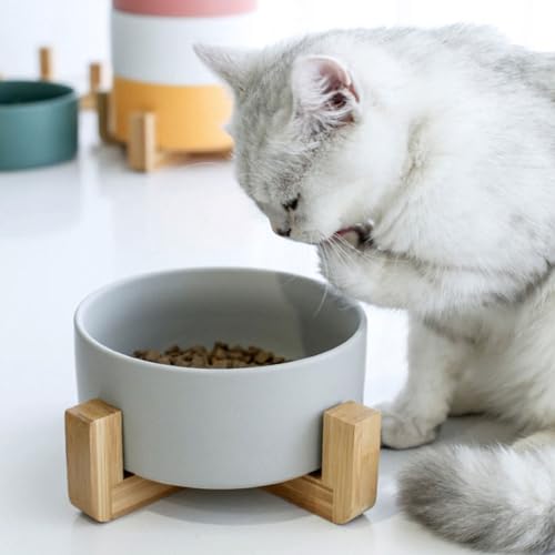 Pot de fleurs en céramique design ergonomique et support stable élégant - 7