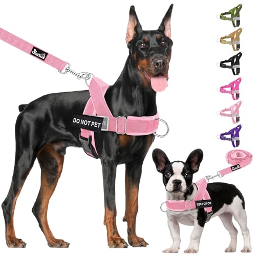 Lukovee No Pull Dog Harness and Leash Set, Soft Padded for Large Medium Dog by Lukovee - Used condition - Image 9