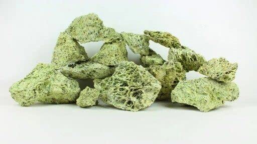 WYSKONT Dolomite Stones for Aquarium - Fish Tank Natural Decoration - Marine Ornamental Rocks - Suitable for Malawi and Tanganyika Biotypes - Stabilize pH – 10kg Spaghetti Green