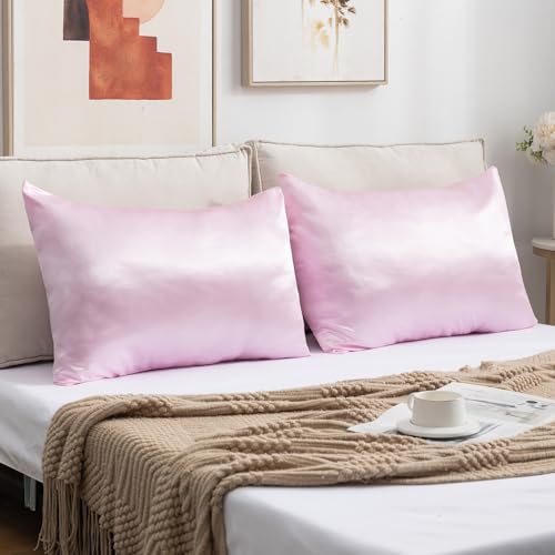 Satin Pillowcases Standard Set of 2 - Silk Soft Pillow Cases for Hair and Skin 20x26 inches, Pink Satin Pillow Covers 2 Pack with Envelope Closure for Home,School, Hotel