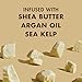 Shea Moisture Raw Shea Butter Shampoo and Conditioner Set, Deep Moisturizing with Sea Kelp & Argan Oil, Sulfate Free & Silicone Free, Curly Hair Products, Family Size, 13 Fl Oz (Pack of 2)