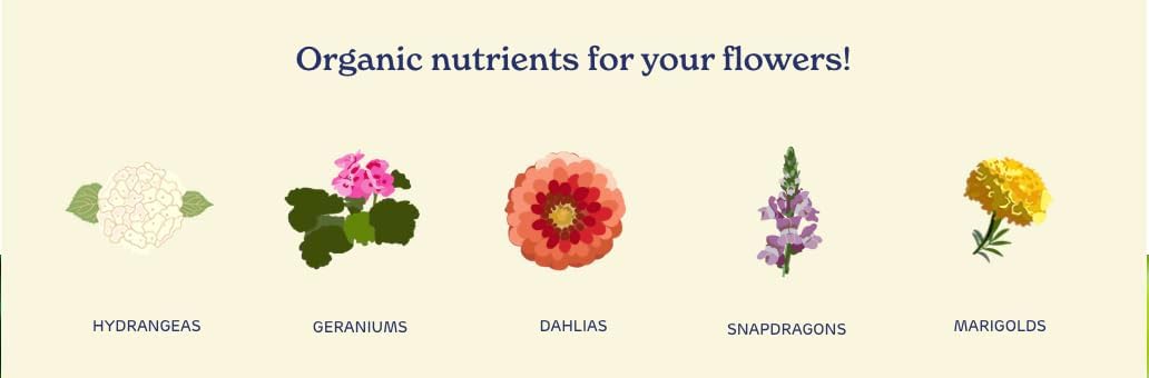 True Organic Liquid Bloom Boost – Organic Bud, Bloom & Blossom Fertilizer – 32 fl. oz. Bottle Covers 60 Sq. Ft. - Image 2