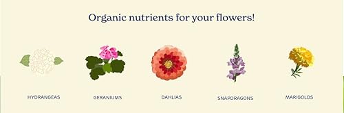 Miniatura 2 de True Organic Liquid Bloom Boost  Fertilizante orgánico de brotes, floración y floración  16 onzas líquidas cubiertas de botellas de 30 pies cuadrados