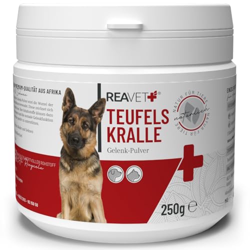 ReaVET Afrikanische Teufelskralle für Hunde & Katzen 250g - Natürliches Gelenkpulver zur Unterstützung der Gelenke & Beweglichkeit I Teufelskrallen Pulver Ohne Zusätze