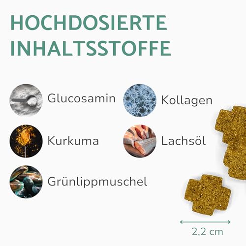 PUURY® Gelenk-Komplex für Hunde | Unterstützt Knochen & Gelenke | Leckerer als Gelenktabletten | Mit Grünlippmuschel, Kollagen, Kurkuma, Glucosamin, Lachsöl | 90 Leckerlis (270g), 3 Monatsvorrat