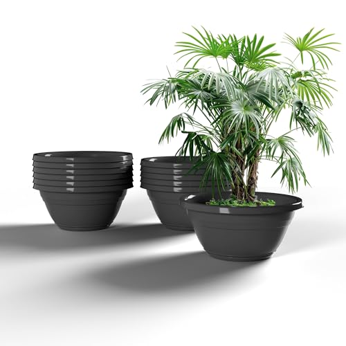 YUCCABE ITALIA SHERA Botanica Bonsai KTR 15 Inch Planter Pot with Drainage Holes – Wide Shallow Bonsai & Decorative Plant Pot UV-Protected Durable Plastic Planter (Grey, 15 INCH - 12 pcs)