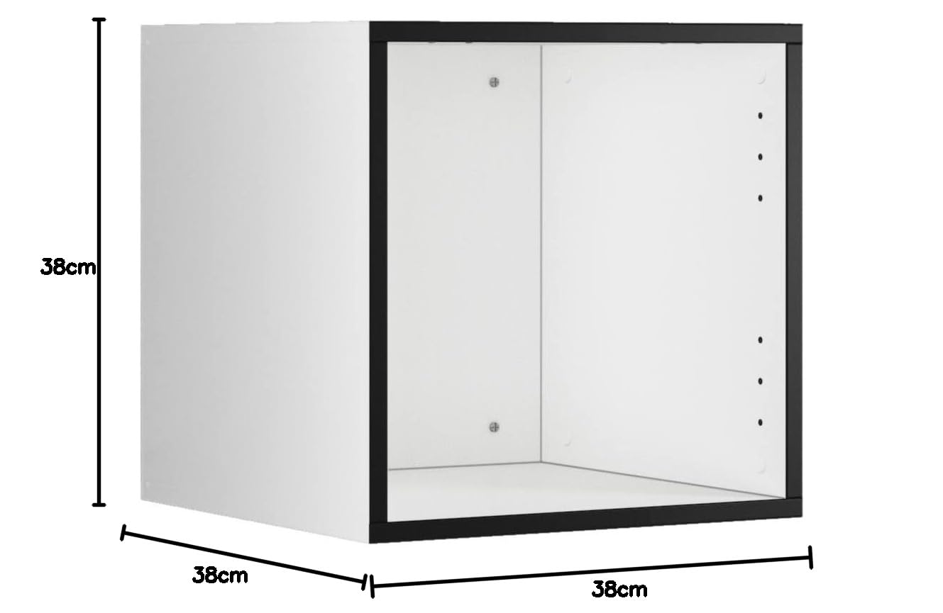 BMG Möbel Schranksystem Modul+ offen oder geschlossen Aufbewahrung individuell montierbar als Regal oder Schrankset Lowboard oder Sideboard wandhängend (ohne Front, 38 x 38 cm)