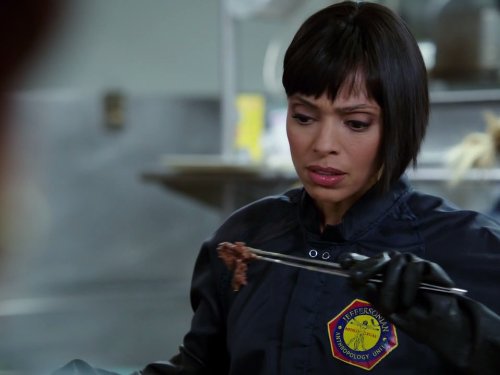 The Mystery in the Meat