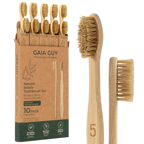 Cepillos de dientes de bambú Gaia Guy con cerdas de jabalí medianas en pack de 10 unidades numeradas