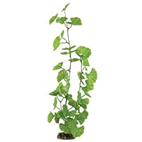 Algopix Similar Product 17 - Aqueon Geranium Aquarium Plant, 16-Inch