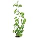 Aqueon Geranium Aquarium Plant, 16-Inch
