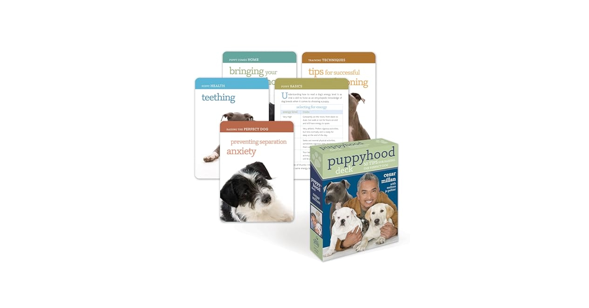 Puppy Tips from Cesar Millan: Expert Secrets for Happy Pups