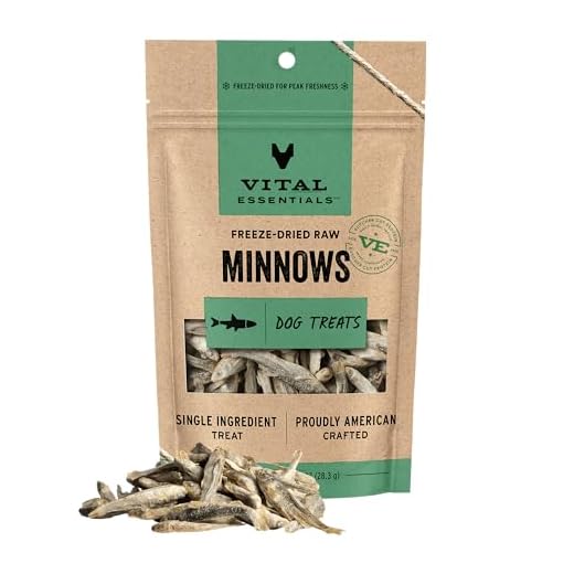 Vital Essentials Freeze Dried Minnows Dog Treats | Single Ingredient | Premium Quality | Grain Free Treats for Dogs, 1 oz Bag