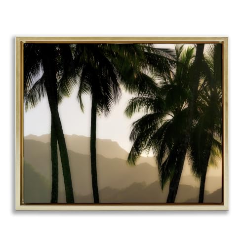 Sunlit Palm Trees Mountain Peaks, 17 x 21 Inch Canvas in Floater Frame