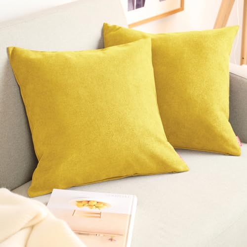 Blumtal Set of 2 Chenille Cushion Cover - Decorative Cushion Cove...