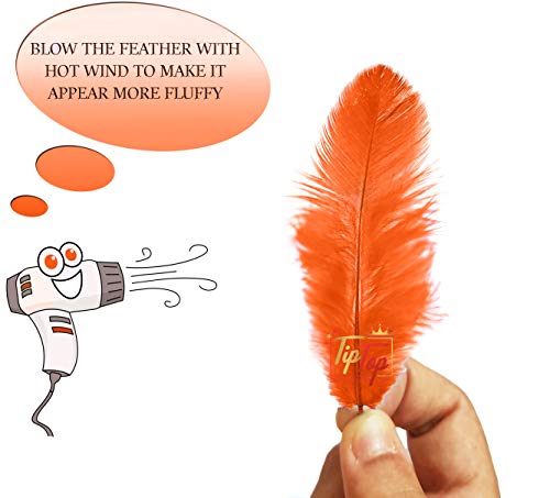 Image of Natural Dyed Feathers 10 cm (80 pieces) (Orange)
