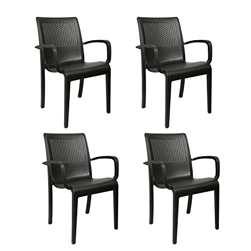 Image of Cello Ecstasy Elegant Set of 6 Chairs (Black) | Strong and Durable | Easy to Clean | Chair for Living Room, Bed Room, Kitchen, Office Room, Outdoor | 3 Years Warranty