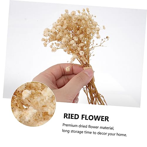 Paquete de 4 ramos secos de flor de aliento para decoración miniatura 7