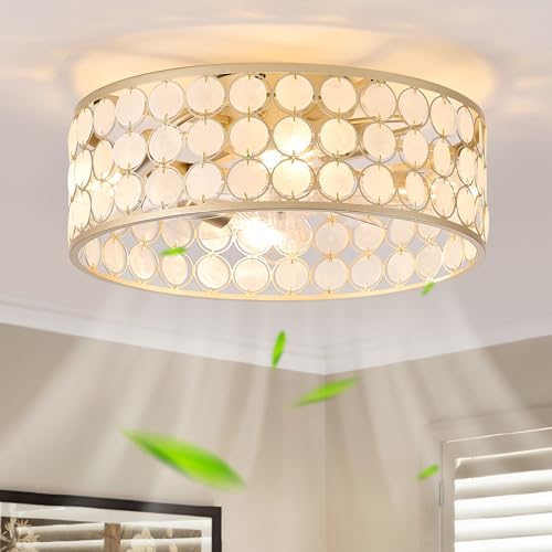 20"Boho Ceiling Fans with Lights and Remote Capiz Fandelier Ceiling