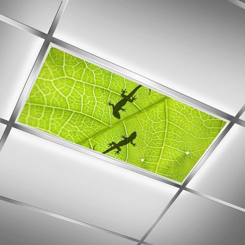 Image of 2Pcs Gecko Fluorescent Light Covers for Ceiling Lights Classroom, Magnetic Light Filters for Office, Hospitals, Home 4 X 2 Feet