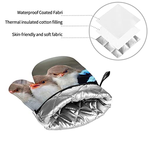 Four Birds Printed Oven Mitts And Pot Holders Heat Resistant Potholders Oven Gloves And Pad For Baking Kitchen Grilling - 4 Set #TOP3