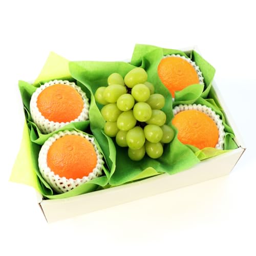 g܂ǂȂƃVC}XJbg̃t[cMtgZbg AILt[c}CX^[I [VC}XJbg g܂ǂ] ʕMtg 蕨 a v[g j j oYj  䌩 މ@j Cj Ε Ε ~Mtg RC