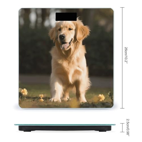 Báscula digital para perros Golden Retriever de 400 lb miniatura 2