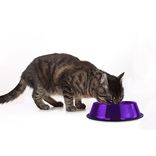 Platinum Pets Non-Tip Stainless Steel Dog Bowl #TOP2