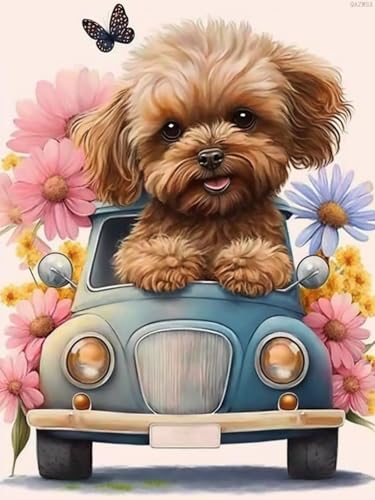 Peinture diamant 5D caniche et camion pour adultes - Kit complet broderie strass ronds