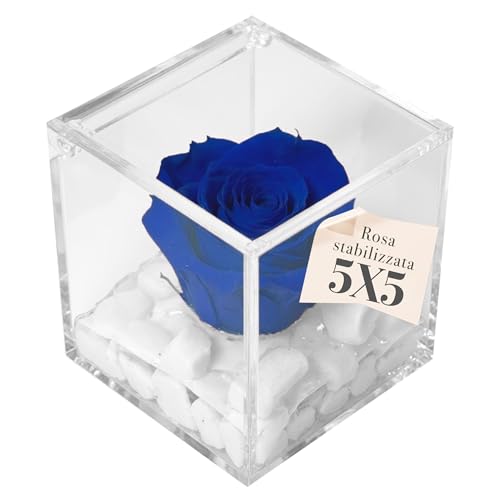 PREMIUM ROSE - Cubo Rosa Stabilizzata Blu 5 cm con Marmo di Carrara - Rosa Eterna Stabilizzata Made in Italy - Idea per Bomboniere, Lauree e Battesimi - Blu 1051