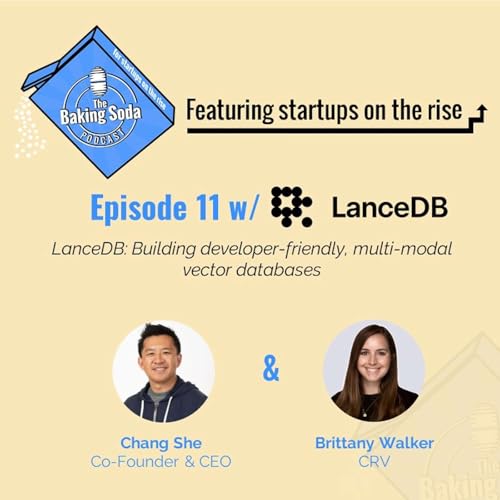 LanceDB: Building developer-friendly, multi-modal vector databases