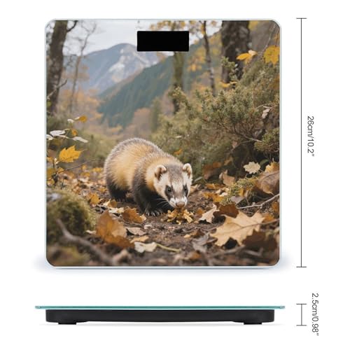 Báscula digital de baño Ferret - Badger vidrio templado 400 lb miniatura 2