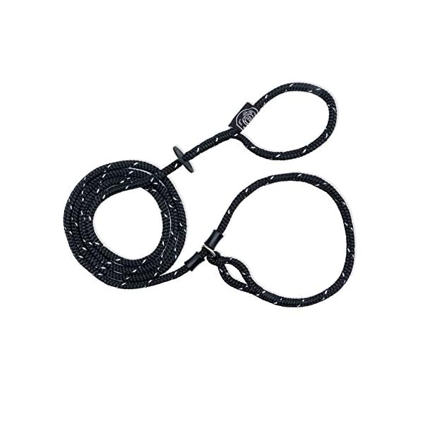 Harness Lead No Pull Dog Harness and Leash Set, Anti Pull Dog Harness for All Breeds and Sizes, One-Piece Cushioned Rope Design Safely Prevents Escaping and Pulling (Small/Medium, Black/Reflective) Harness Lead No Pull Dog Harness and Leash Set, Anti Pull Dog Harness for All Breeds and Sizes, One-Piece Cushioned Rope Design Safely Prevents Escaping and Pulling (Small/Medium, Black/Reflective)