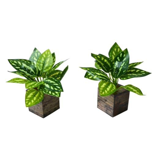 Image of DecoreBugs Artificial Real Touch Flower Plant with Pot (Pack of 2), 16 cm Height, Decorative Faux Floral Plant for Home, Office, Living Room, Bedroom, Table & Shelf Decor