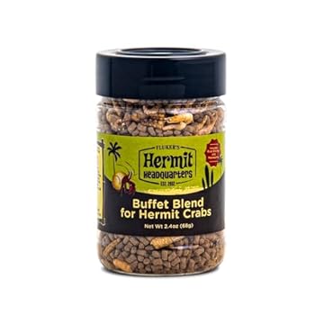 bird food for Hermit Thrushes