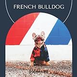 2022 calendar french bulldog: Cute funny French bulldog calendar 2022- large Hanging Grid Organizer...