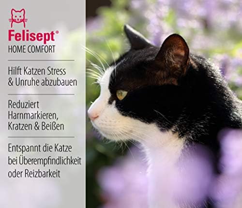 felisept collar